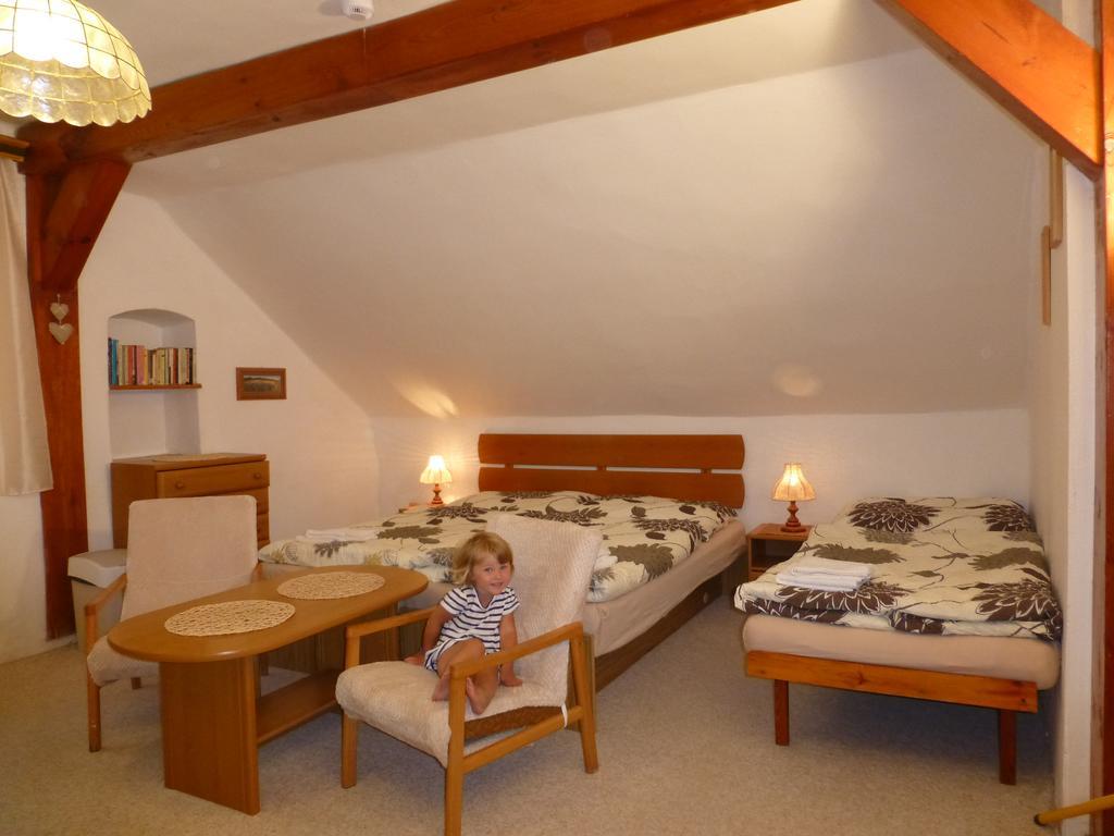 Séjour chez l'habitant U Votapku Nove Hute